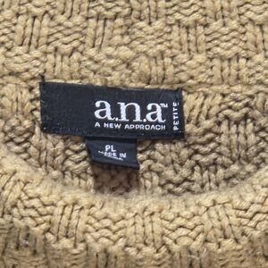 Women's Petite Large A.N.A. (A New Approach) Cable Knit Sweater
